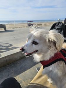 Holly having fun in the Marina